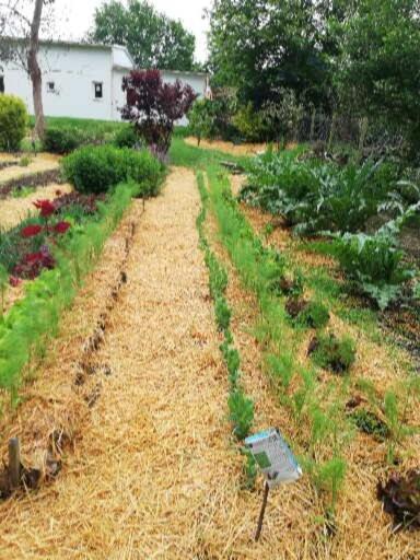 La BoussacAu Coeur Du Jardin别墅 外观 照片
