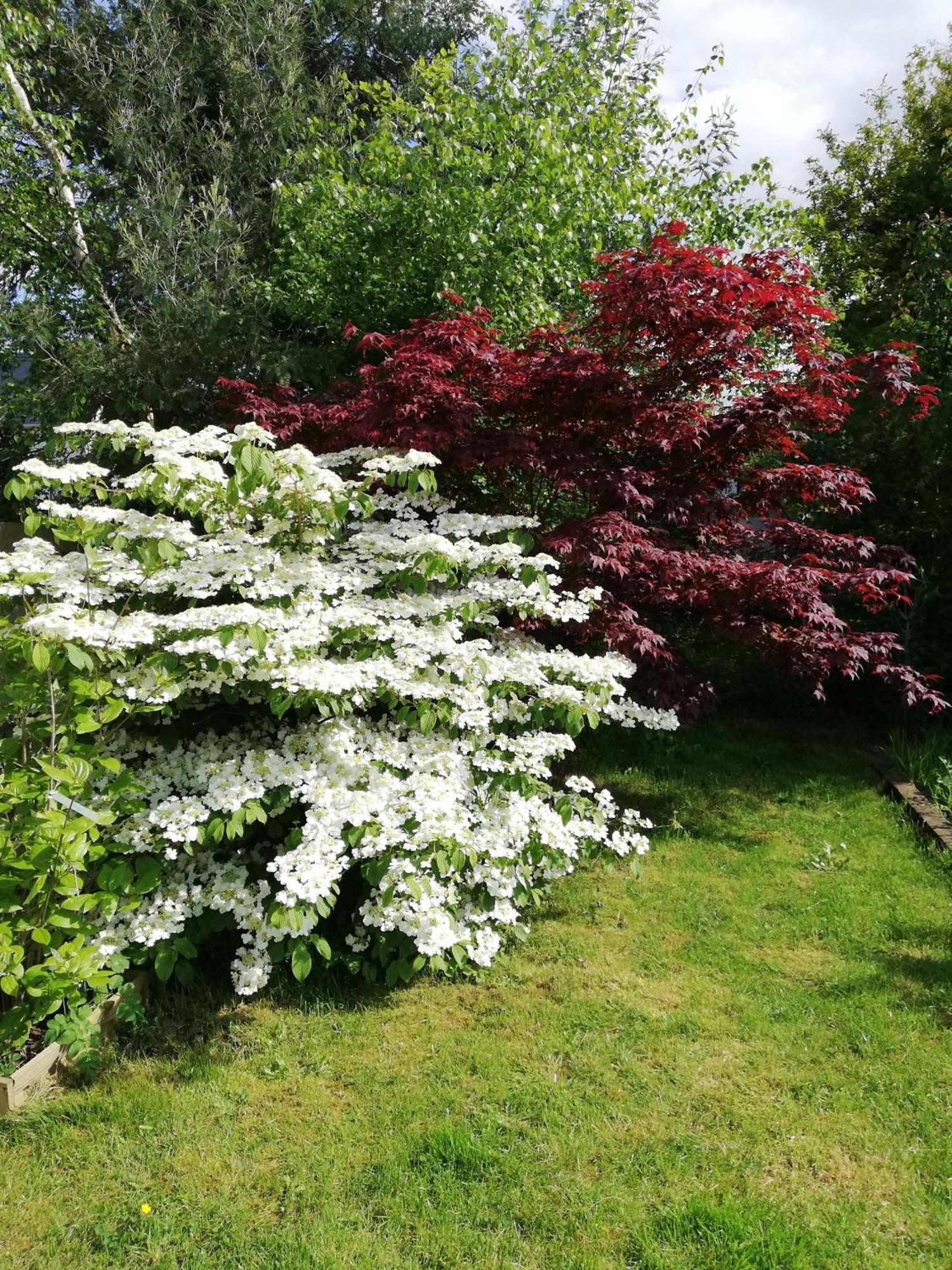 La BoussacAu Coeur Du Jardin别墅 外观 照片